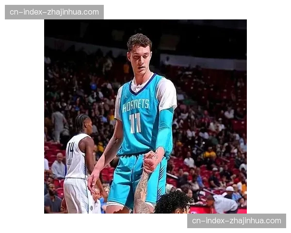 黄蜂次轮秀卡尔克布伦纳赛季初盖帽亮眼，后期轮换时间受限